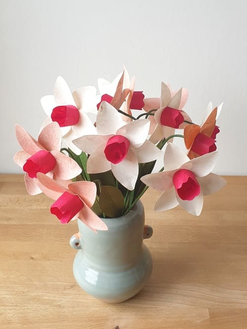 KIT JONQUILLES ROSES